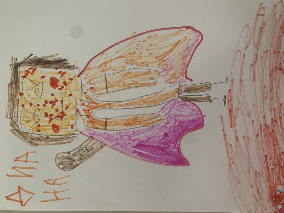 Диана Самоделкина