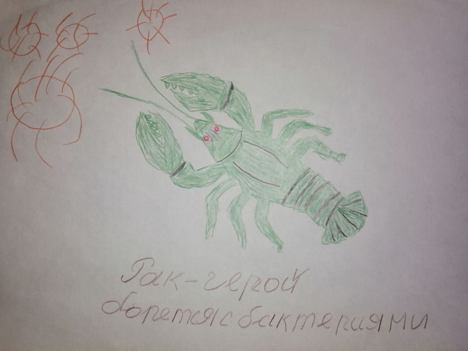 Сергей Николаевич Юнусов