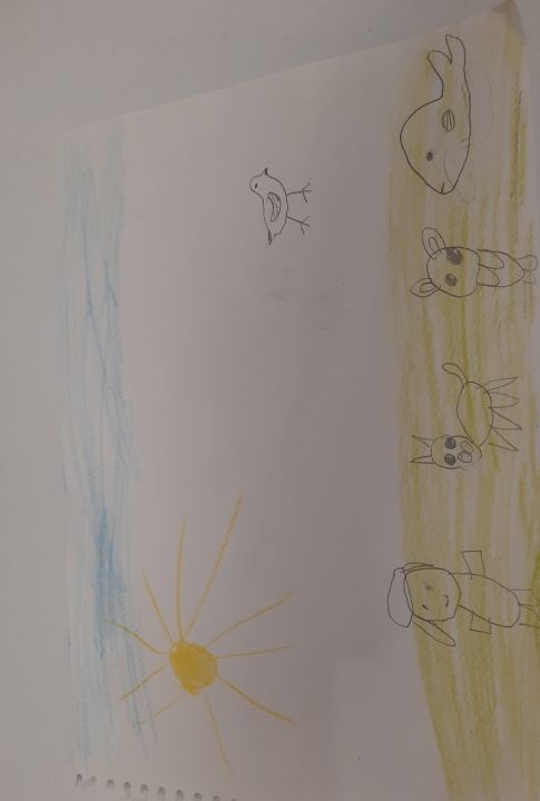 Патимат Расуловна Ибрагимова