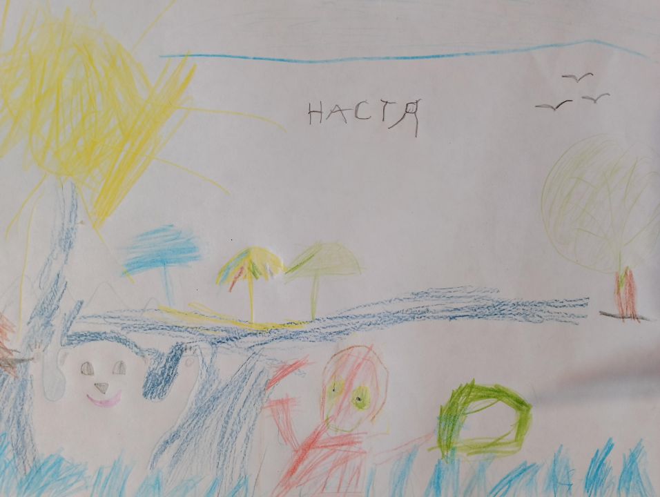 Анастасия Николаевна Некрасова