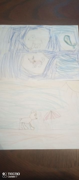 Софья Олеговна Нохрина