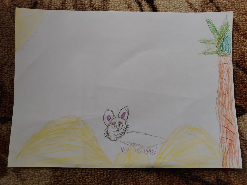 Саша Алёхина