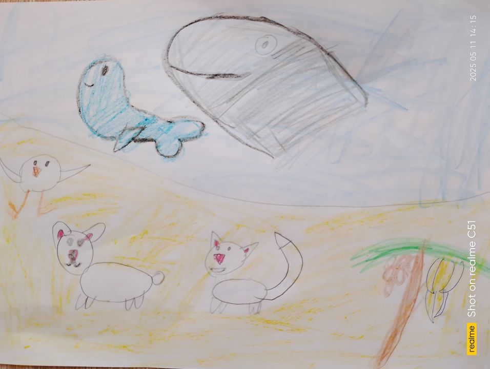 Арсен Никифоров