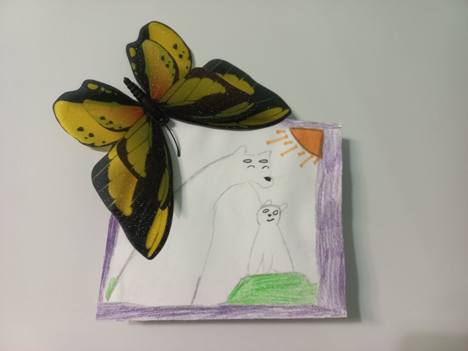 София котик