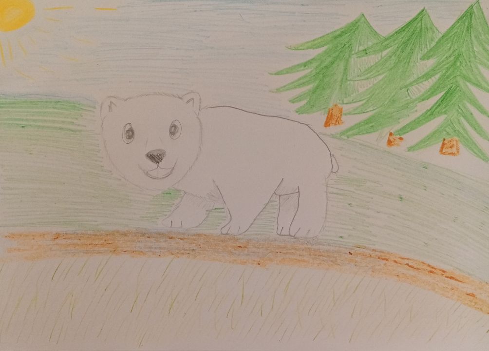 Хузина Камила