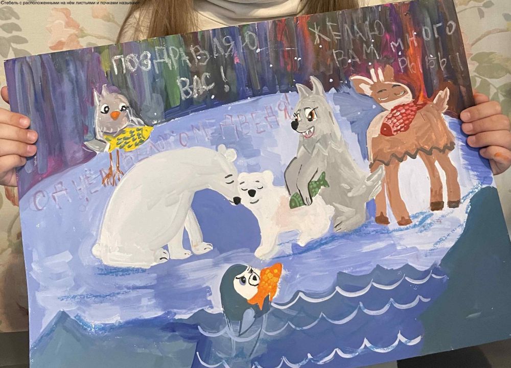 Настя Егоровна Евдищенко