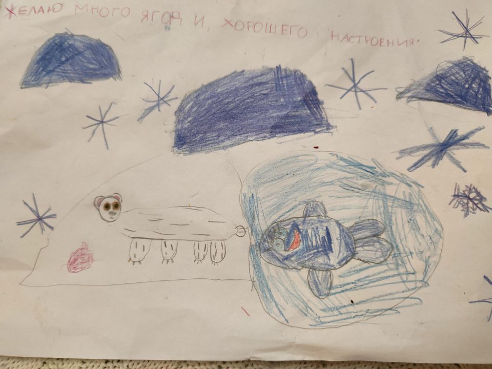 Алёна Андреевна Назарова