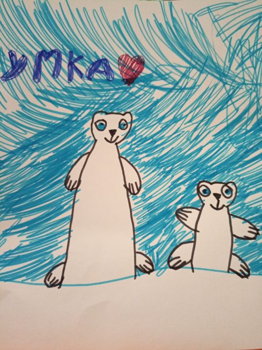 Дамир Ринатович Аширов