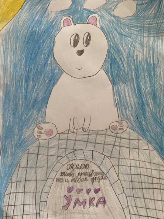 Темирлан Габасович Настуев