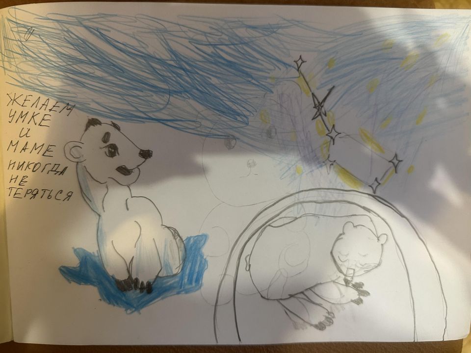 Кирилл Викторович Холуянов