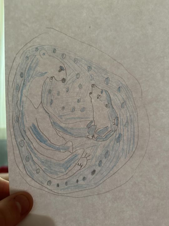 София Юрьевна Науменко