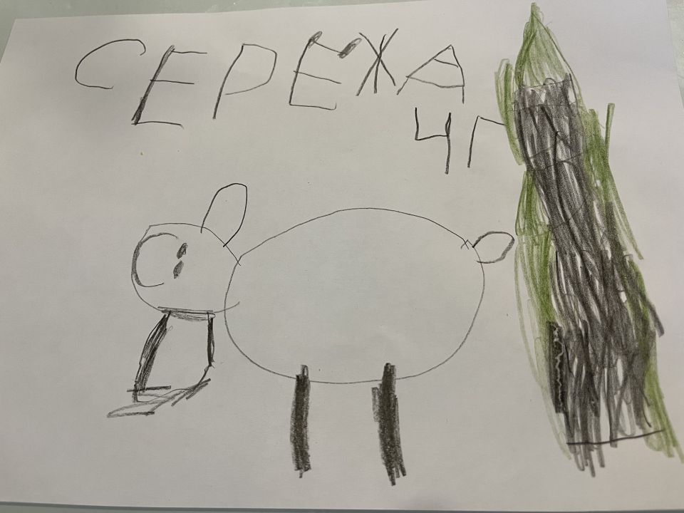 Сережа Анатольевич Кошелев