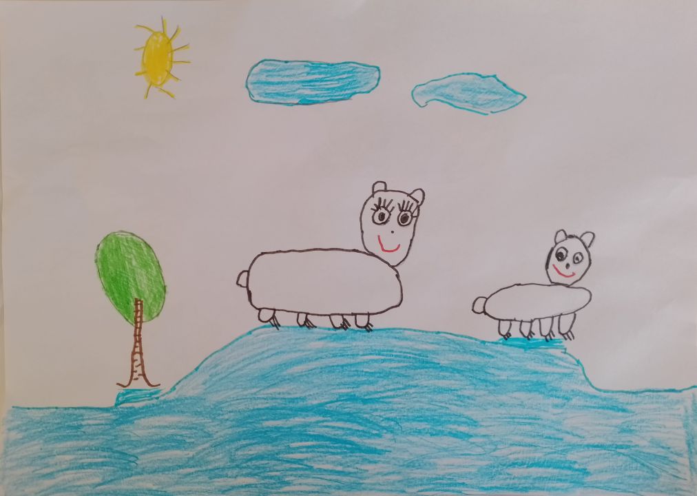 Владимир Митрофанов