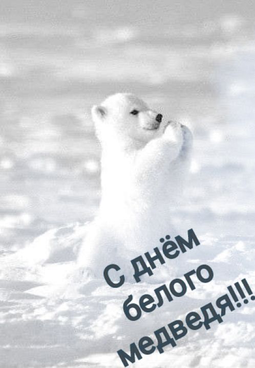 Александр Александр Быков Быков