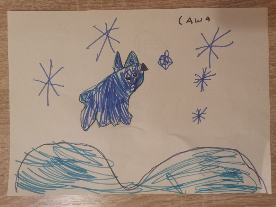 Александра Хотомченко