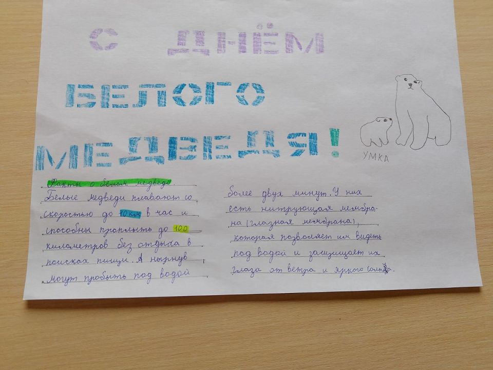 Элина Юрьевна Шупикова