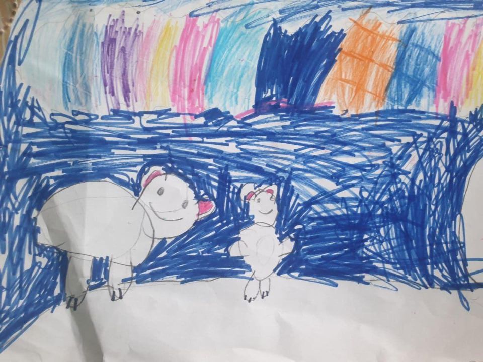 Ибрахим Хамзехович Эмами