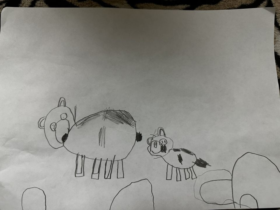 Софья Сочалова