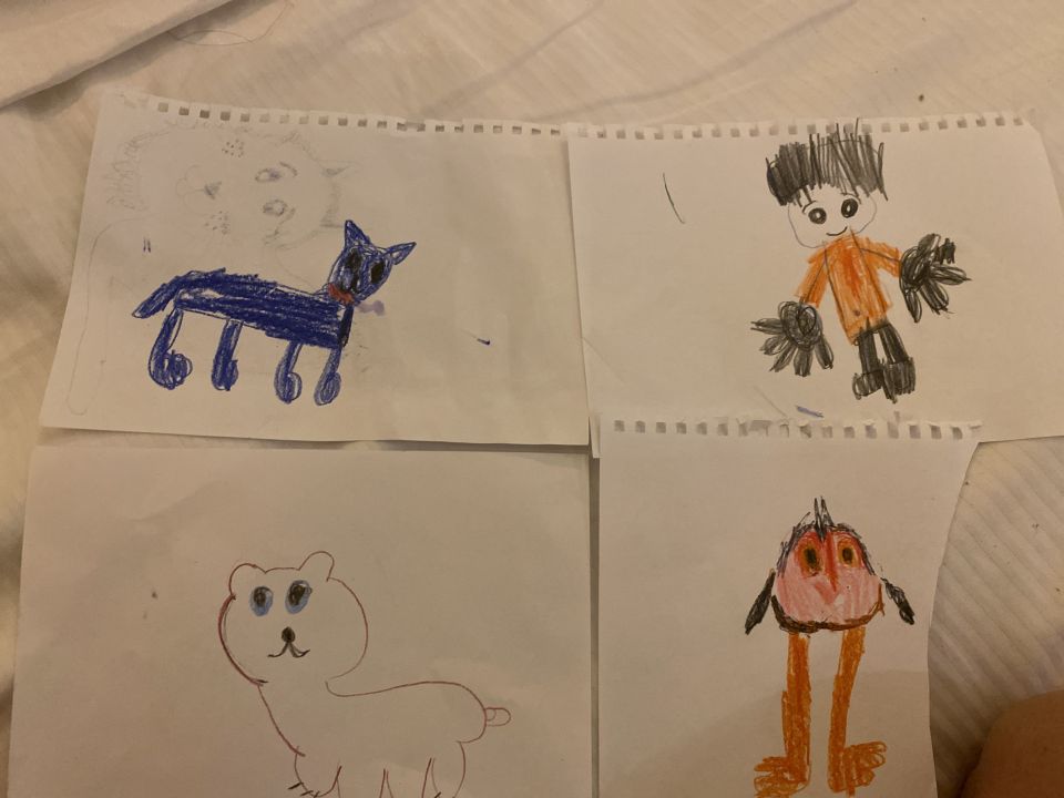 Богдан Никитич Шахов