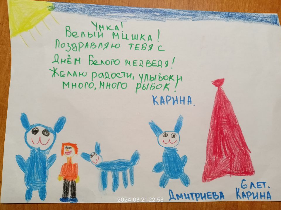 Карина Валерьевна Дмитриева