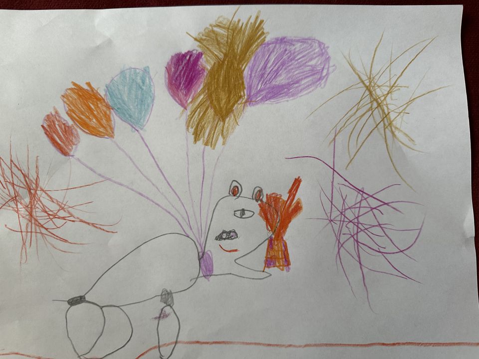 Вероника Александровна Нифонтова