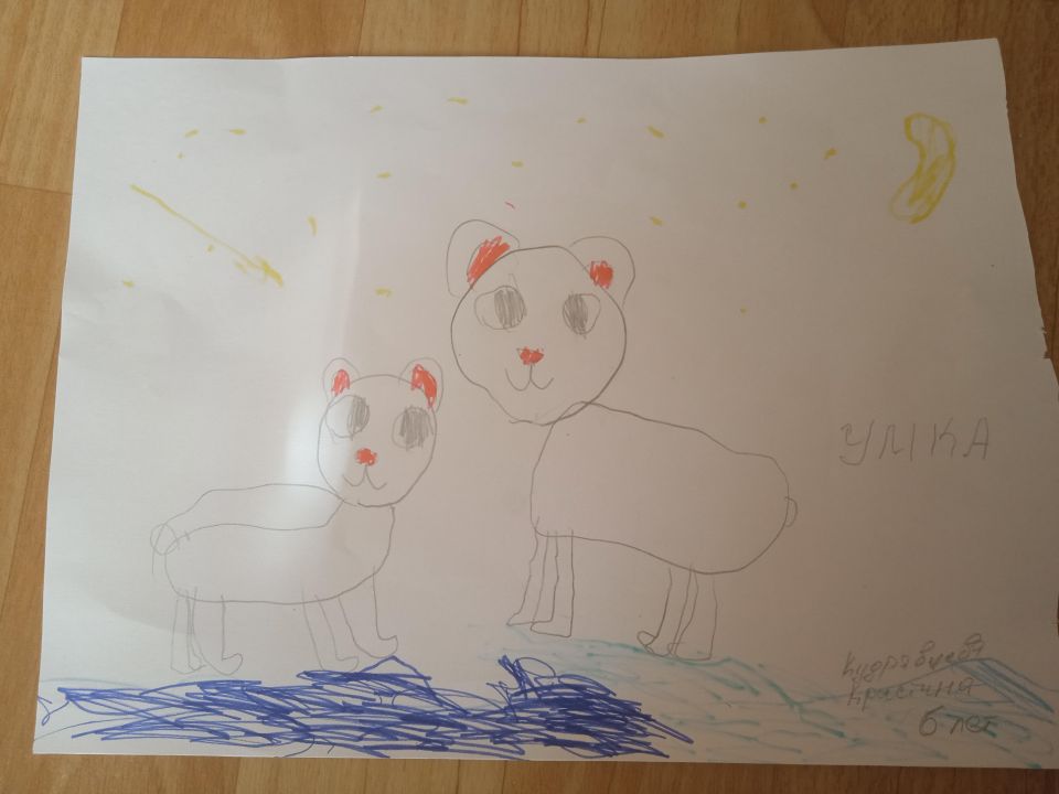 Кристина Николаевна Кудрявцева