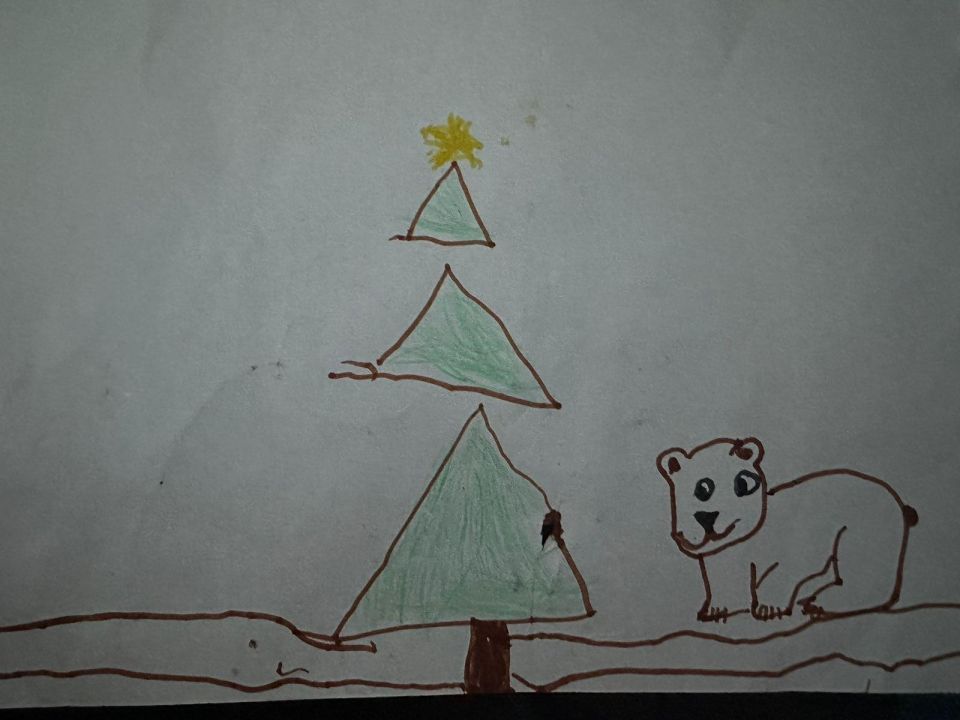 Баскунова Руслановна Эмилия