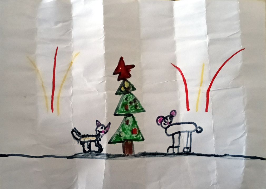 Тихомир Александровна Ильин