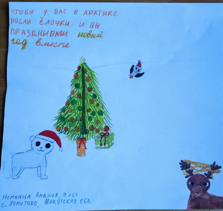 Амалия Евгеньевна Немчина