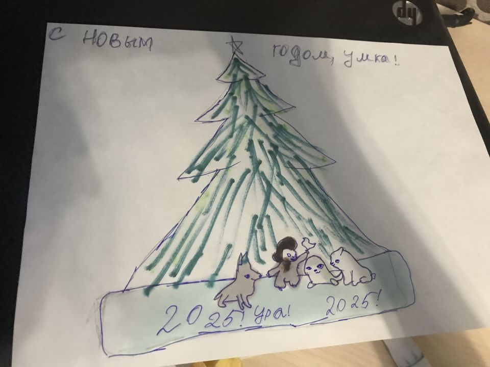 Милана Сергеевна Николаева