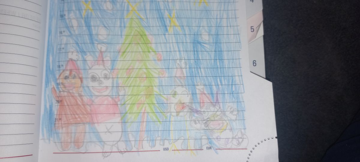 Александра Владимировна ЛАПШИНА