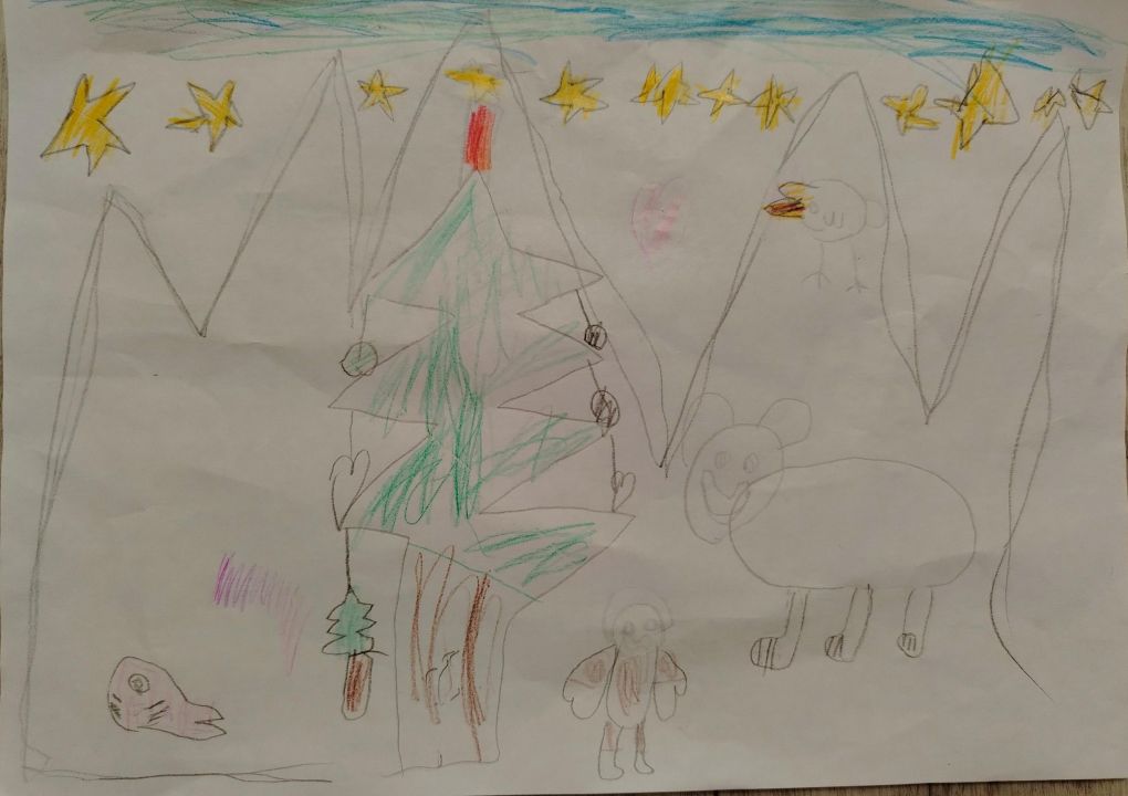 Данир Русланович Тимиряев