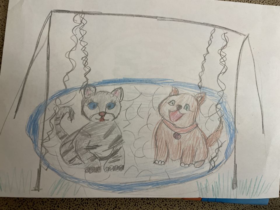 Эсмина Магомедовна Сулейманова