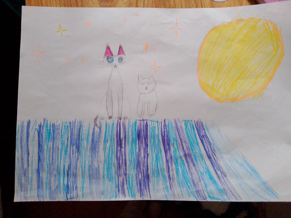 Виктория Сергеевна Силина