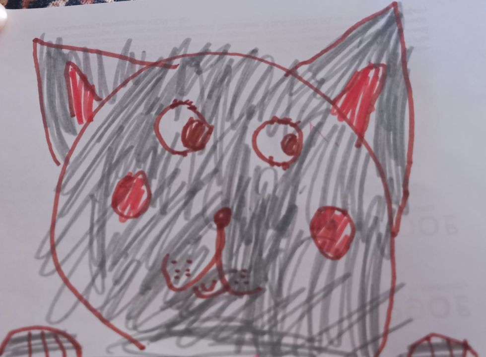 Амина Рафисовна Шакирова