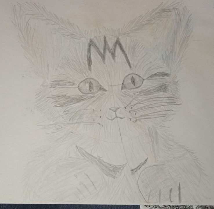 Максим Евгеньевич Воробьев