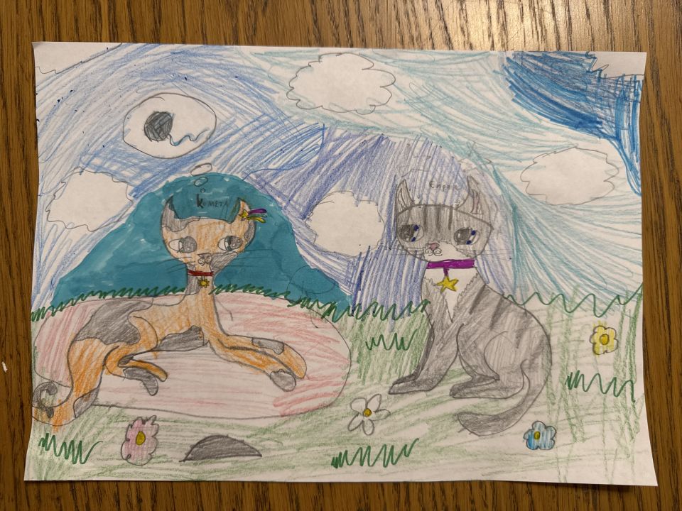 Варвара Ильинична Новикова