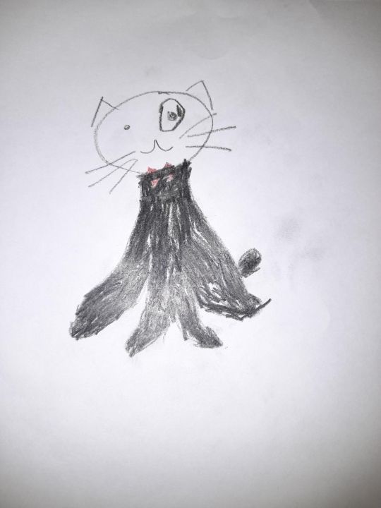 Амир Наилевич Рагипов