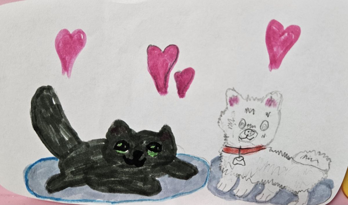 Ева Пашкова