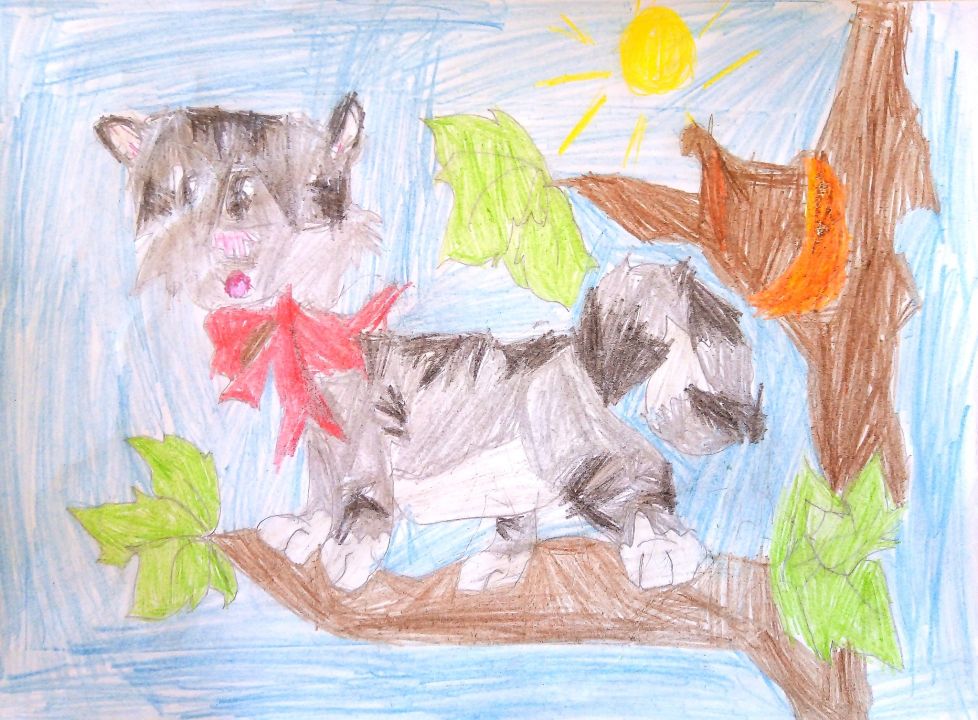 Марта Соломанидина