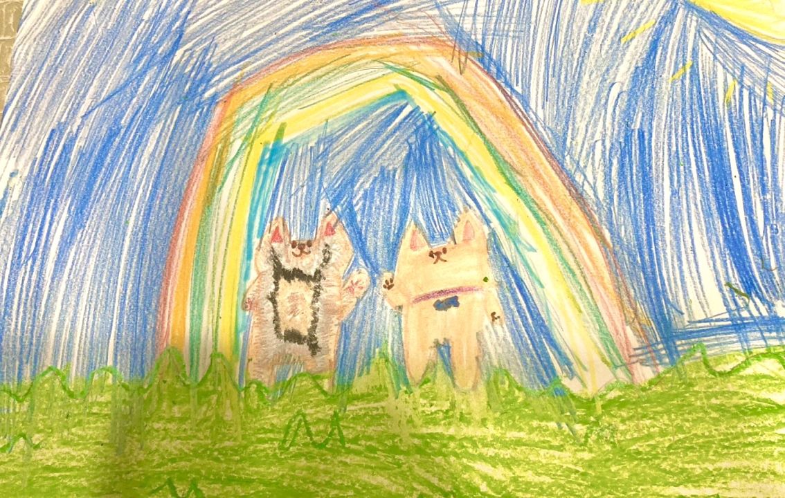 Элина Дмитриевна Старцева