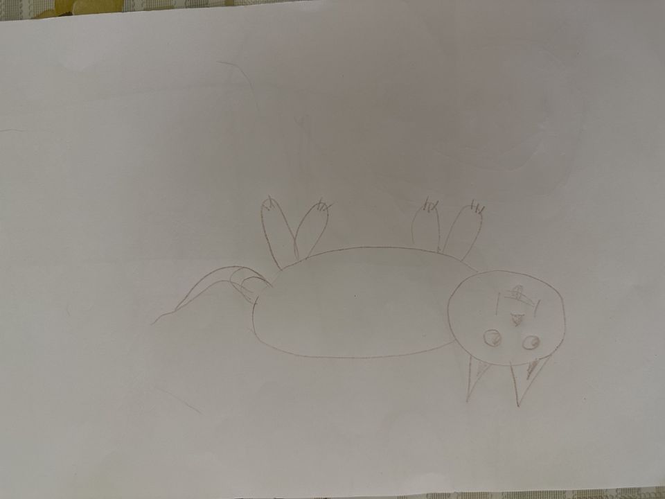 Рашидхан Уллубиевич Сайдулаев