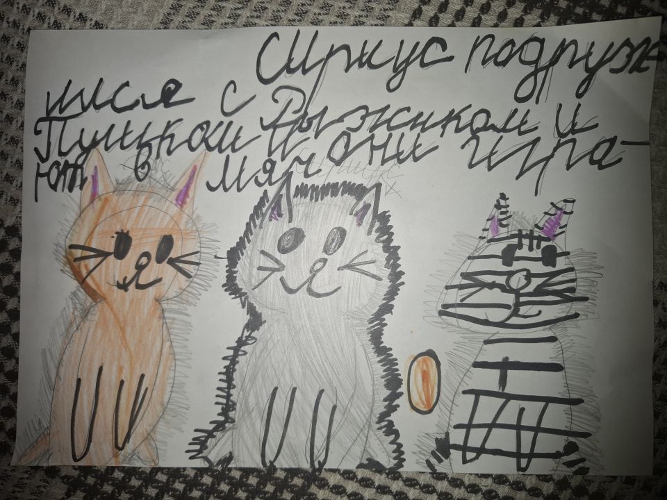 Мария Ринатовна Рахимова