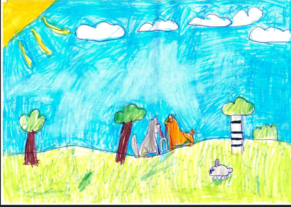 Арьяна Замани