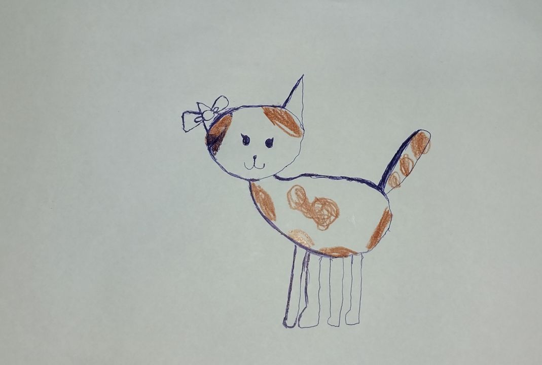 Елена Николаевна Шкребело