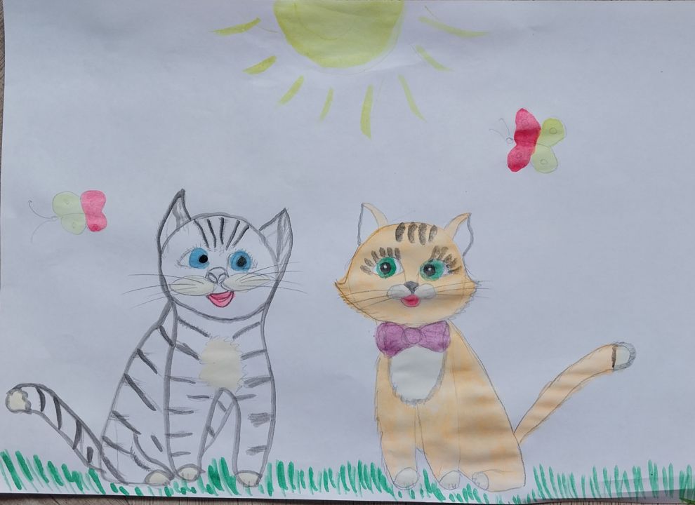 Максим Плис