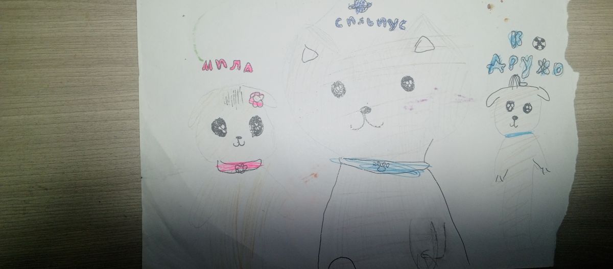 Дарья Вячеславовна Ермакова