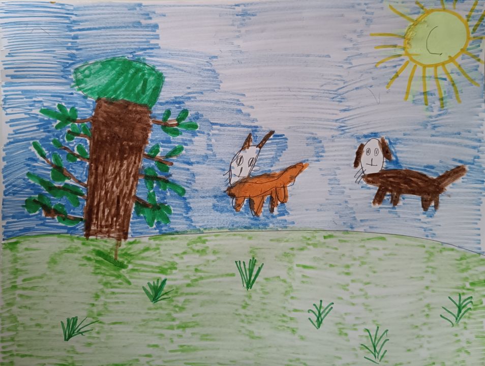 Шевцова Андреевна Елизавета