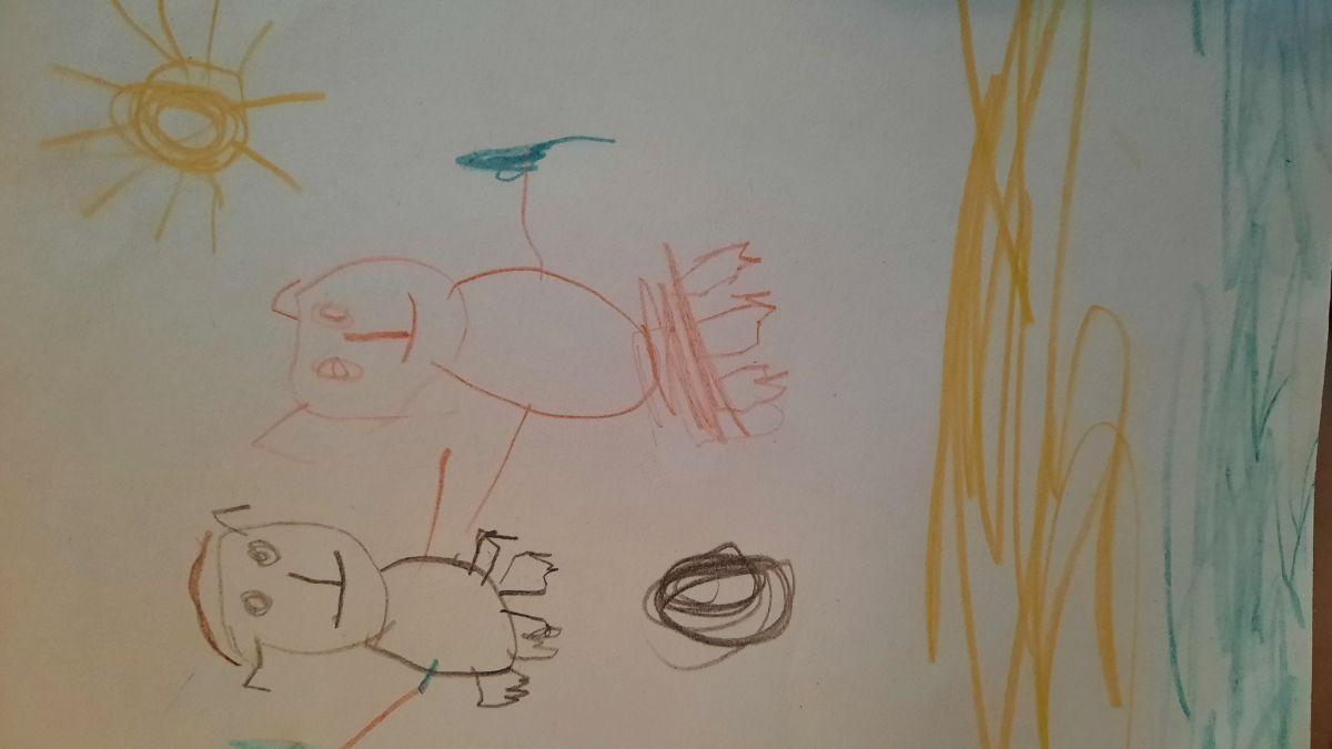 София Валерьевна Жарова