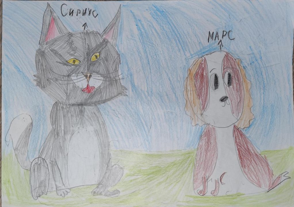 Арина Витальевна Боровкова